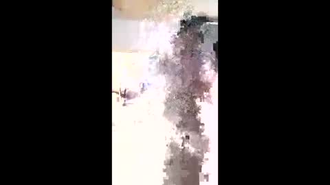 Snapshot of maciasbraulio846 chatting on February 2026 06:00:02 AM maciasbraulio846 online show from February 2026 06:00:02 AM