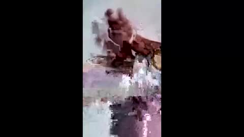 Snapshot of maciasbraulio846 chatting on February 2026 06:50:02 AM maciasbraulio846 online show from February 2026 06:50:02 AM