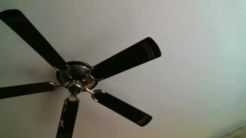 Manuel online show from January 2025 12:31:01 AM