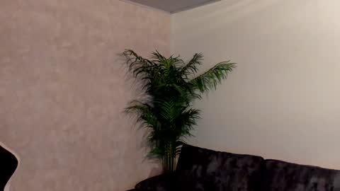 Maddox Santana online show from December 2024 12:57:02 AM