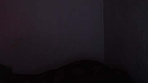 Made online show from December 2024 11:49:01 PM