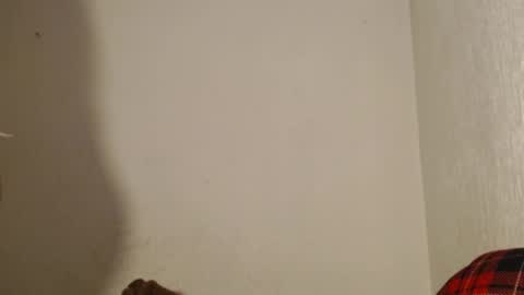 Made online show from December 2024 07:24:02 AM