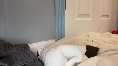 madibaby999 online show from January 2026 10:24:02 PM