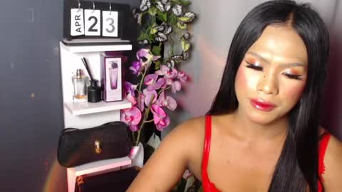 MADISONWILL online show from April 2026 04:37:02 PM