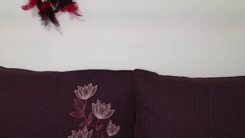 magic door open online show from October 2025 09:11:04 AM