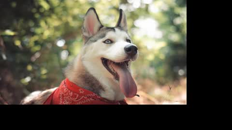 magic_katarina_ online show from January 2025 02:36:01 PM