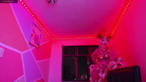   online show from January 2025 02:00:02 AM