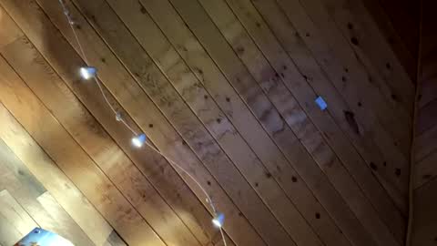 Snapshot of makeyousquirt1969 chatting on February 2026 07:56:02 AM makeyousquirt1969 online show from February 2026 07:56:02 AM