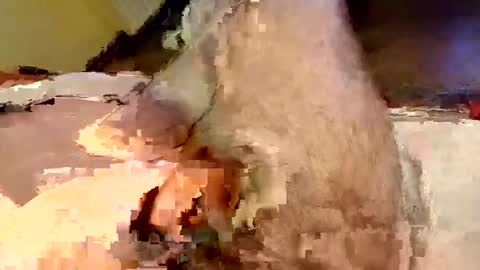 Snapshot of mako998843 chatting on February 2026 07:32:01 PM mako998843 online show from February 2026 07:32:01 PM