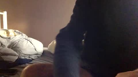 malefrench1 online show from February 2026 06:07:01 AM