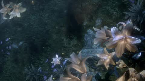 piu online show from April 2026 02:26:01 PM