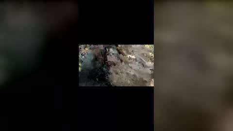 Mallubull online show from November 2025 08:42:02 PM