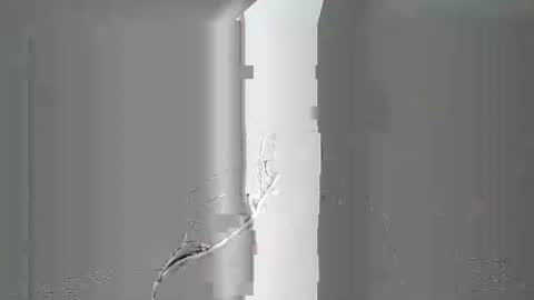 breton online show from February 2026 08:20:01 AM