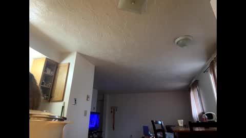 Snapshot of mamaboozey chatting on March 2026 10:01:01 PM mamaboozey online show from March 2026 10:01:01 PM