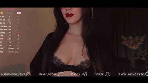 Snapshot of mamiemeow chatting on January 2025 03:40:01 PM Your Miss Alice online show from January 2025 03:40:01 PM