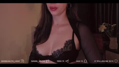 Snapshot of mamiemeow chatting on June 2026 06:19:02 PM Your Miss Alice online show from June 2026 06:19:02 PM