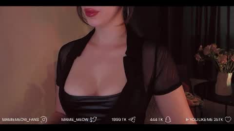 Snapshot of mamiemeow chatting on July 2026 11:56:01 AM Your Miss Alice online show from July 2026 11:56:01 AM