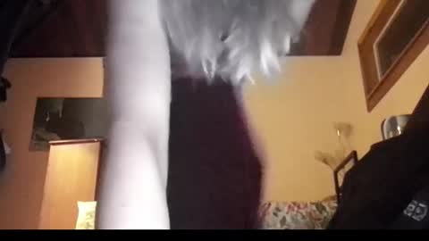 mangoseeed online show from November 2025 11:12:01 AM