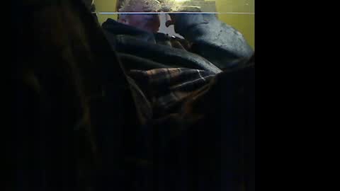 Manu online show from January 2026 10:33:02 PM