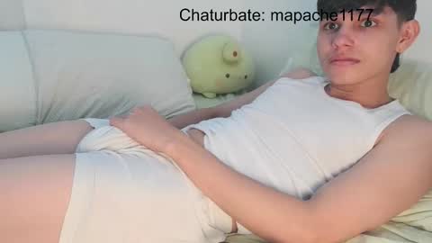 Snapshot of mapache1177 chatting on February 2026 04:05:02 PM mapache1177 online show from February 2026 04:05:02 PM