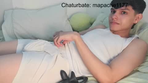 Snapshot of mapache1177 chatting on February 2026 11:09:01 AM mapache1177 online show from February 2026 11:09:01 AM