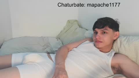 Snapshot of mapache1177 chatting on May 2026 07:40:02 PM mapache1177 online show from May 2026 07:40:02 PM