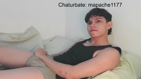 Snapshot of mapache1177 chatting on June 2026 03:23:01 PM mapache1177 online show from June 2026 03:23:01 PM
