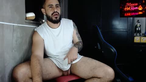 Snapshot of marco_aure chatting on May 2026 12:17:01 AM marco_aure online show from May 2026 12:17:01 AM