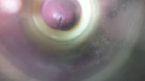 Marc online show from February 2026 08:49:01 PM