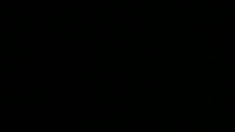 Elle online show from March 2026 06:46:02 PM