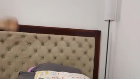 Antonia online show from October 2025 06:17:02 PM