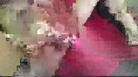 DJs All Day Playhouse online show from February 2025 02:53:02 PM