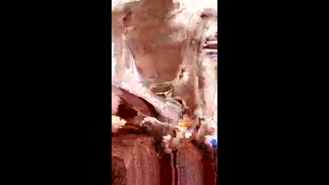 marki_2816 online show from February 2026 10:34:02 AM