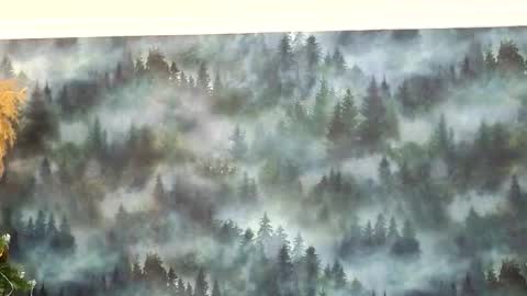 markshot_ online show from December 2025 10:58:02 PM