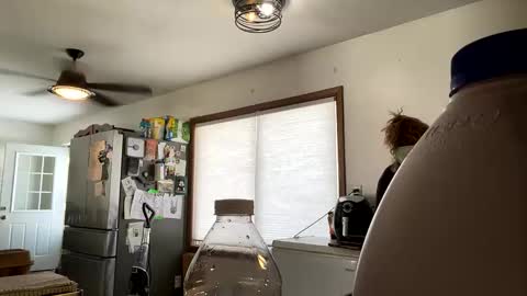 Snapshot of maroon_moon chatting on February 2025 07:41:01 PM maroon_moon online show from February 2025 07:41:01 PM