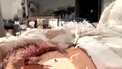 marriedthickdick37 online show from February 2025 05:37:01 AM