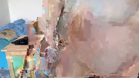 Moose online show from January 2025 09:13:02 AM