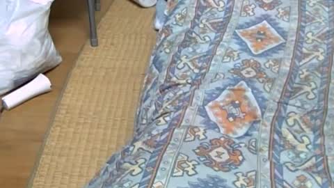 masayann online show from October 2025 12:44:02 AM