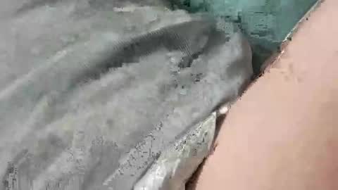 mathisdavid6757 online show from November 2025 01:32:02 PM