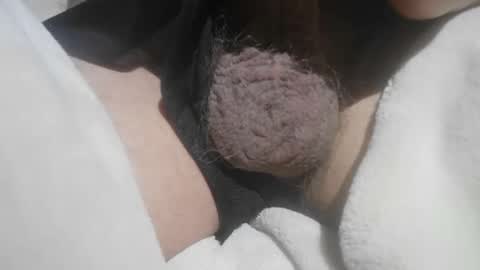 Snapshot of mattty13 chatting on May 2026 06:04:02 PM Hairy Bud online show from May 2026 06:04:02 PM