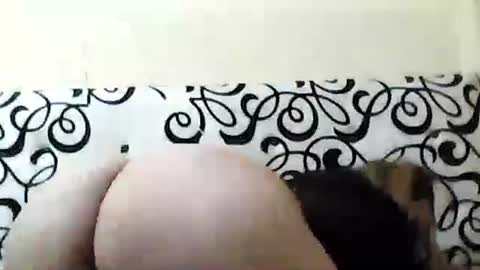 Snapshot of mature_sweet3827 chatting on December 2024 05:53:02 AM mature_sweet3827 online show from December 2024 05:53:02 AM