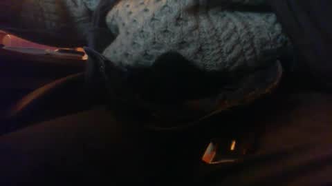 Maturedaddi online show from January 2025 07:07:02 PM