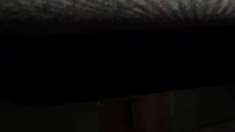 Rob online show from February 2025 11:17:01 AM