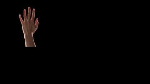 Snapshot of max_original chatting on February 2025 04:26:01 PM Future Max online show from February 2025 04:26:01 PM