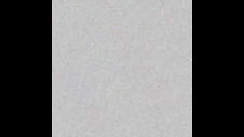 Maxel F online show from January 2026 12:29:01 PM