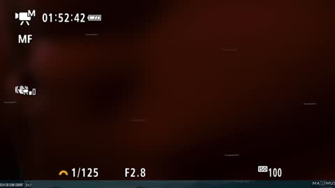 Snapshot of maximus_787 chatting on January 2025 11:35:01 PM Maximus7871 online show from January 2025 11:35:01 PM