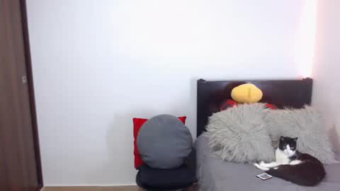 Snapshot of maximus_golden chatting on February 2026 02:51:02 AM Independent Model online show from February 2026 02:51:02 AM