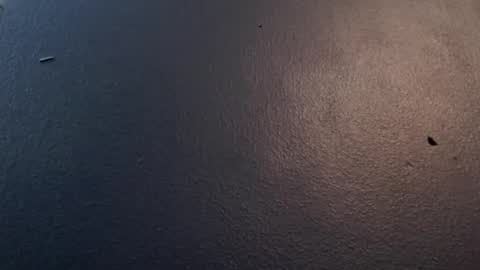 Max and Pam Voyeur Cam online show from January 2025 05:09:01 AM