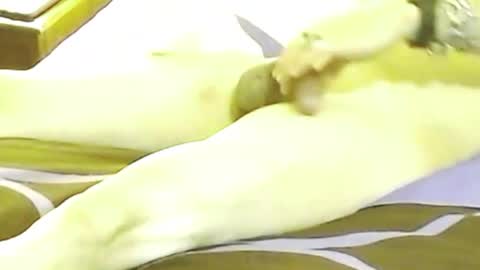 Snapshot of maxxflow chatting on October 2025 11:42:02 AM maxxflow online show from October 2025 11:42:02 AM