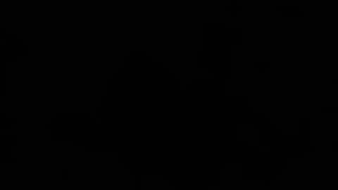 Snapshot of maxzoul98 chatting on April 2026 10:16:02 AM maxzoul98 online show from April 2026 10:16:02 AM